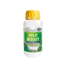 Phân bón tảo biển Kelp Boost