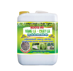 ROOTS MỸ VÀNG LÁ CHÁY LÁ 1L, 5L
