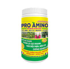 Thuốc kích rễ hữu cơ Pro Amino (Pháp)