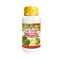 Lớn trái mít ngừa xơ đen-Phân bón lá cao cấp